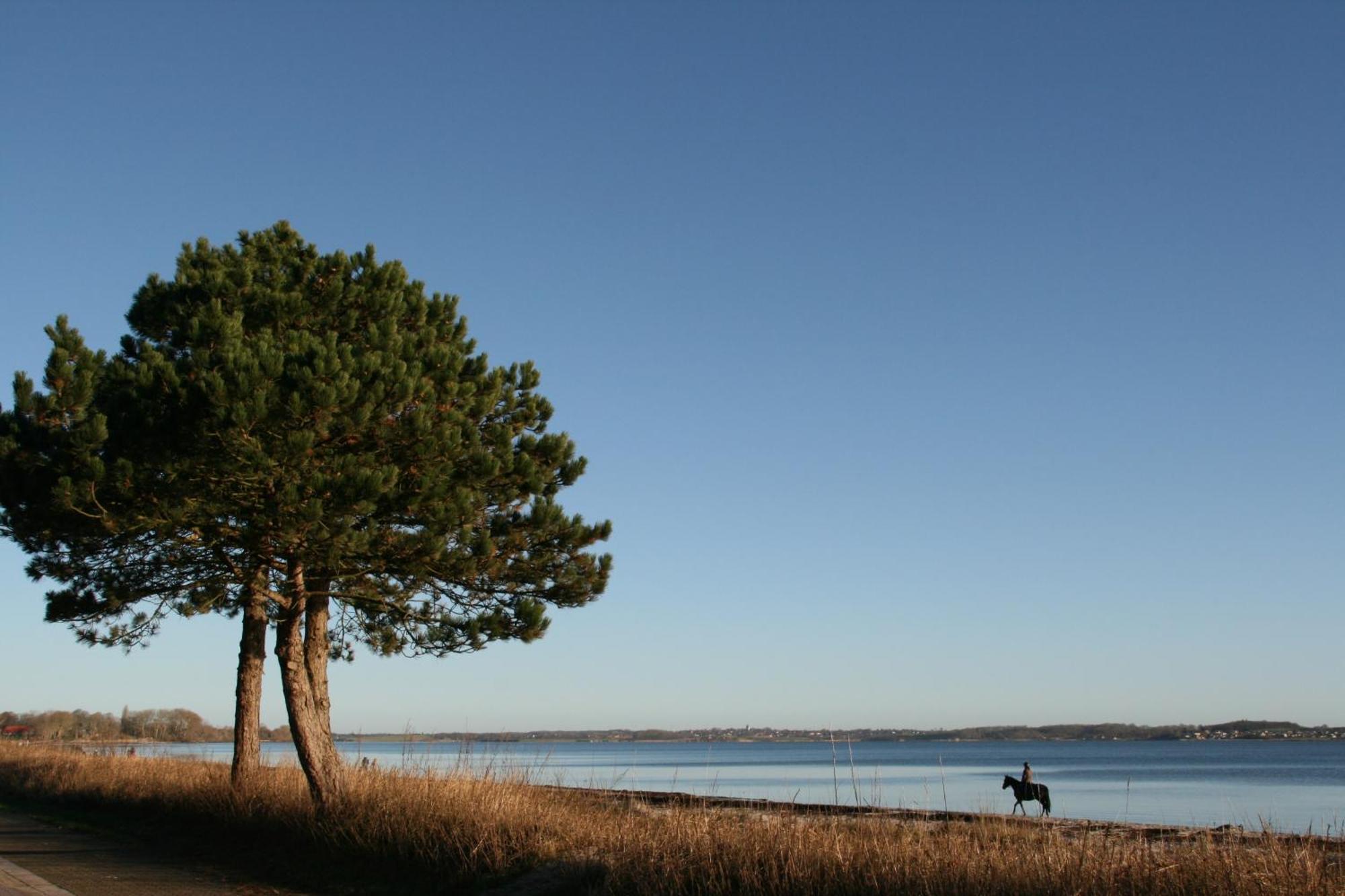 Ostsee-Strandhaus-Holnis Glücksburg Exteriér fotografie